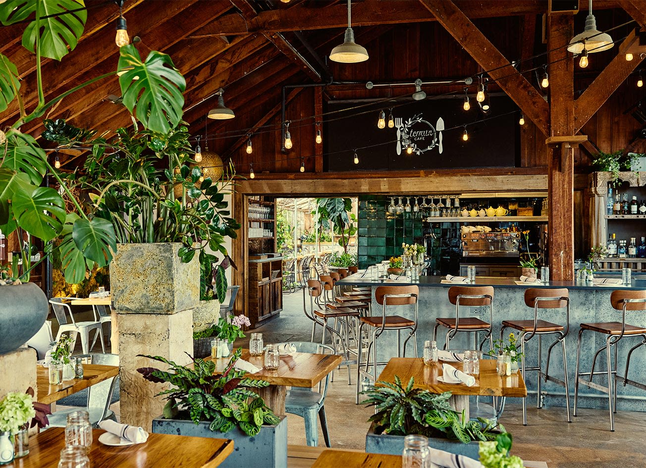 Twisted Cafe